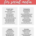 november hashtags infographic