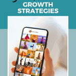 10 social media growth strategies pinterest 1